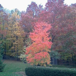 Meet your Posher, Diana